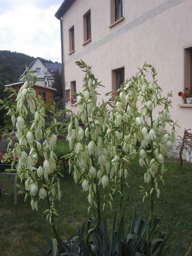Ferienwohnung Büchsenhof Prossen Exterior foto